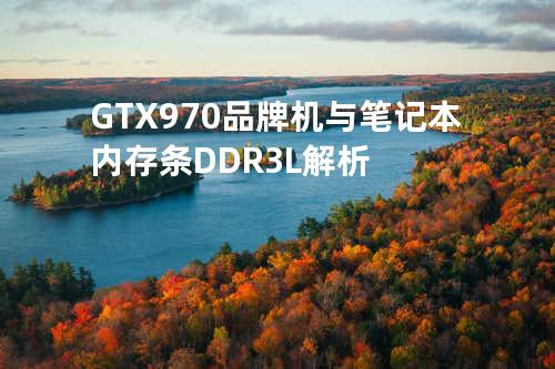 GTX 970 品牌机与笔记本内存条 DDR3L 解析