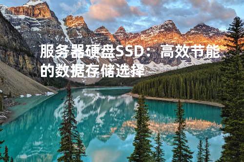 服务器硬盘 SSD：高效节能的数据存储选择