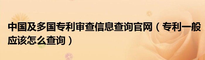 中国专利免费下载：途径、风险与未来趋势详解