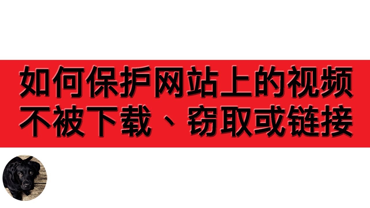 乱荡视频免费下载：风险与挑战深度解析，规避潜在危害指南