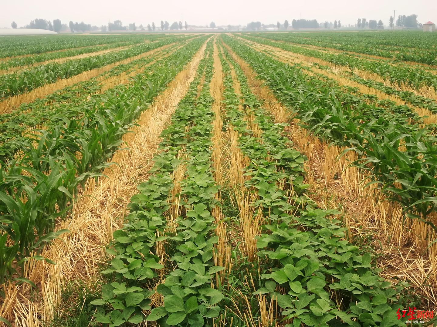 秒明茅萨男生小技巧图轮：从基础到高级的完美茅萨运动解释