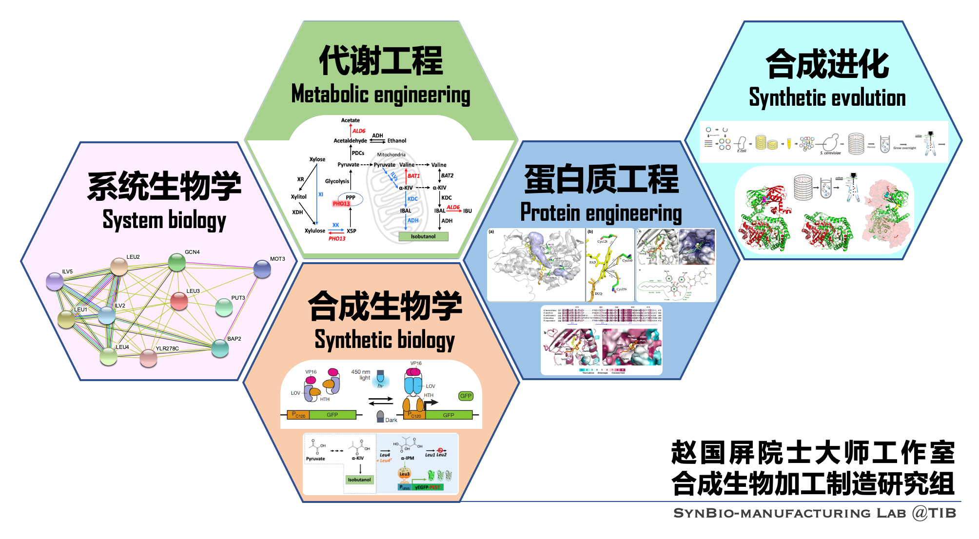 秒明生物答题技巧视频：分析其优劣和发展趋势