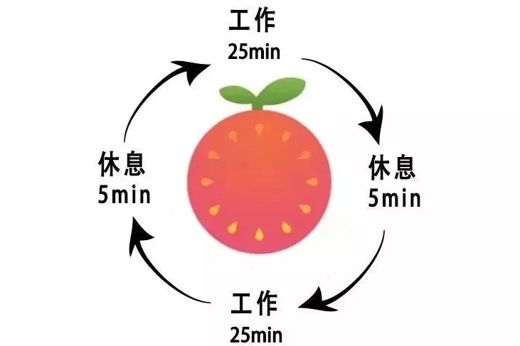 提升效率的每日秒懂小技巧：生活、工作实用指南