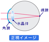 下载香蕉免费视频游览器：风险与挑战并存的探索