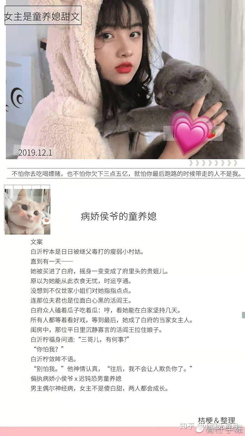 皇家小媳妇小说免费下载：探秘网络文学的盗版与版权之争