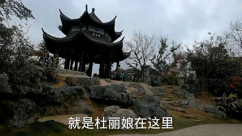 江西大余牡丹亭免费下载资源详解：版本差异、版权风险及未来趋势