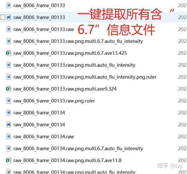 文件筛选软件免费版下载：高效办公利器推荐及风险提示