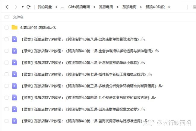 孤狼电商课程免费下载：风险与机遇并存的学习之路