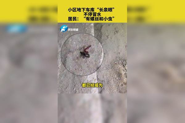 停冒圭子完整版免费下载的安全问题和法律风险