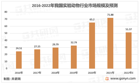 无需下载免费主流网络版周五夜放兴游戏的优劣和隐隐风险