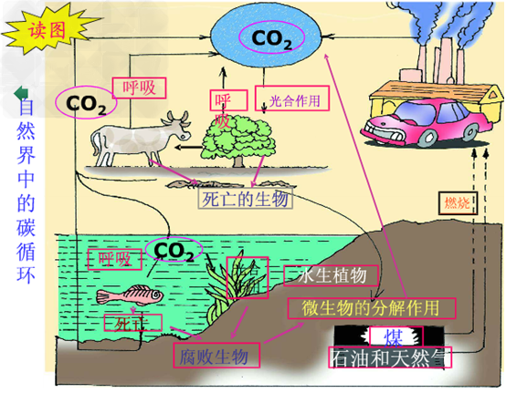 大作ｈx长生校对版免费下载：完整版本资源和下载途径论述