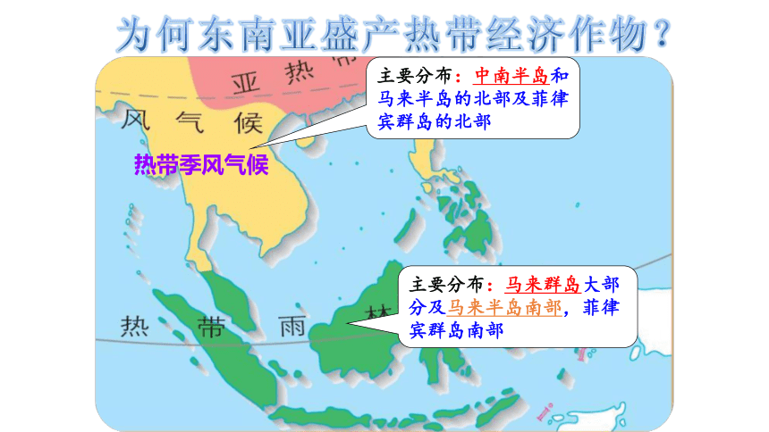 大本吴哥窟免费下载资源详解：风险、价值与未来趋势