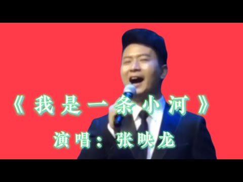 免费下载张映龙的话你：资源获取、内容解读与潜在风险分析