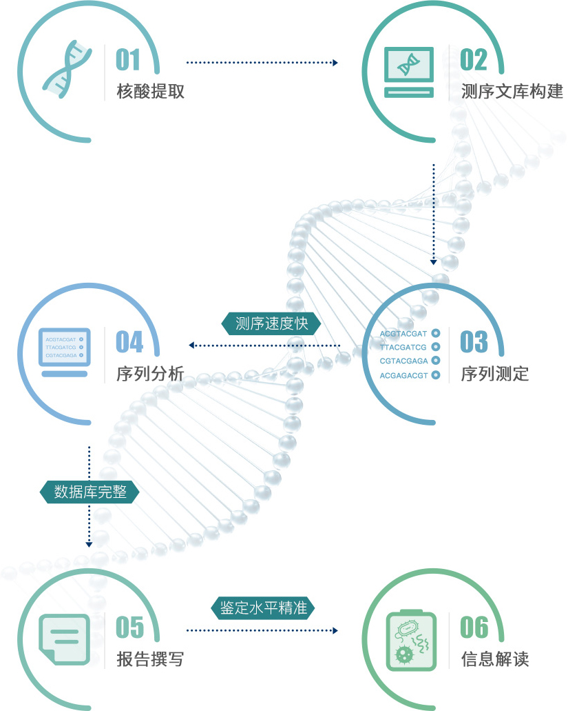 数据分析软件免费版下载：功能、优缺点及选择指南