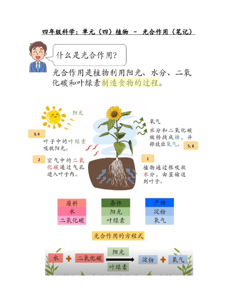 光合作用免费视频下载资源大全：从入门到精通的学习指南