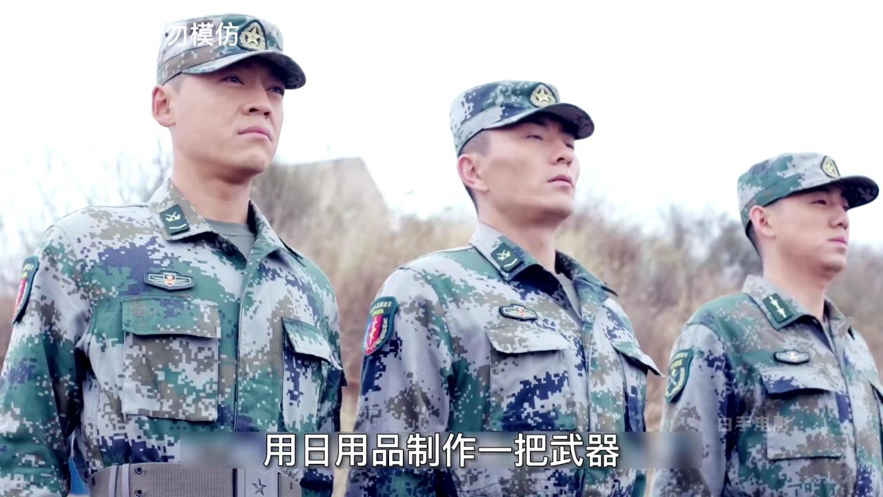 特种兵王t t免费下载：风险与挑战并存的网络资源