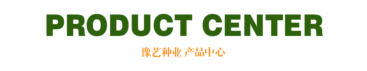 a毛片视频免费观看下载：风险与挑战深度解析