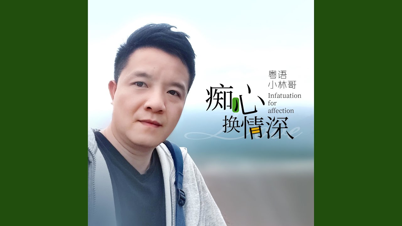 心痴小说免费下载完整版：探秘网络文学的传播与风险