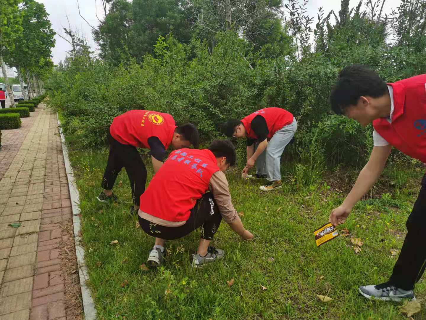 义务劳动的感悟免费下载：体验与反思，收获与成长