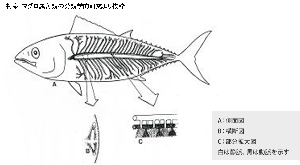 2025年1月17日 第114页