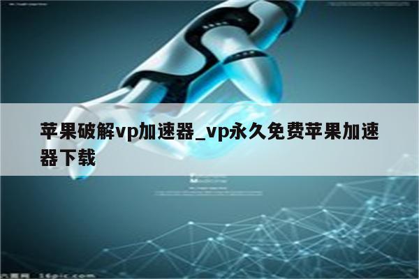 VP加速器免费下载：风险与挑战并存的网络加速工具