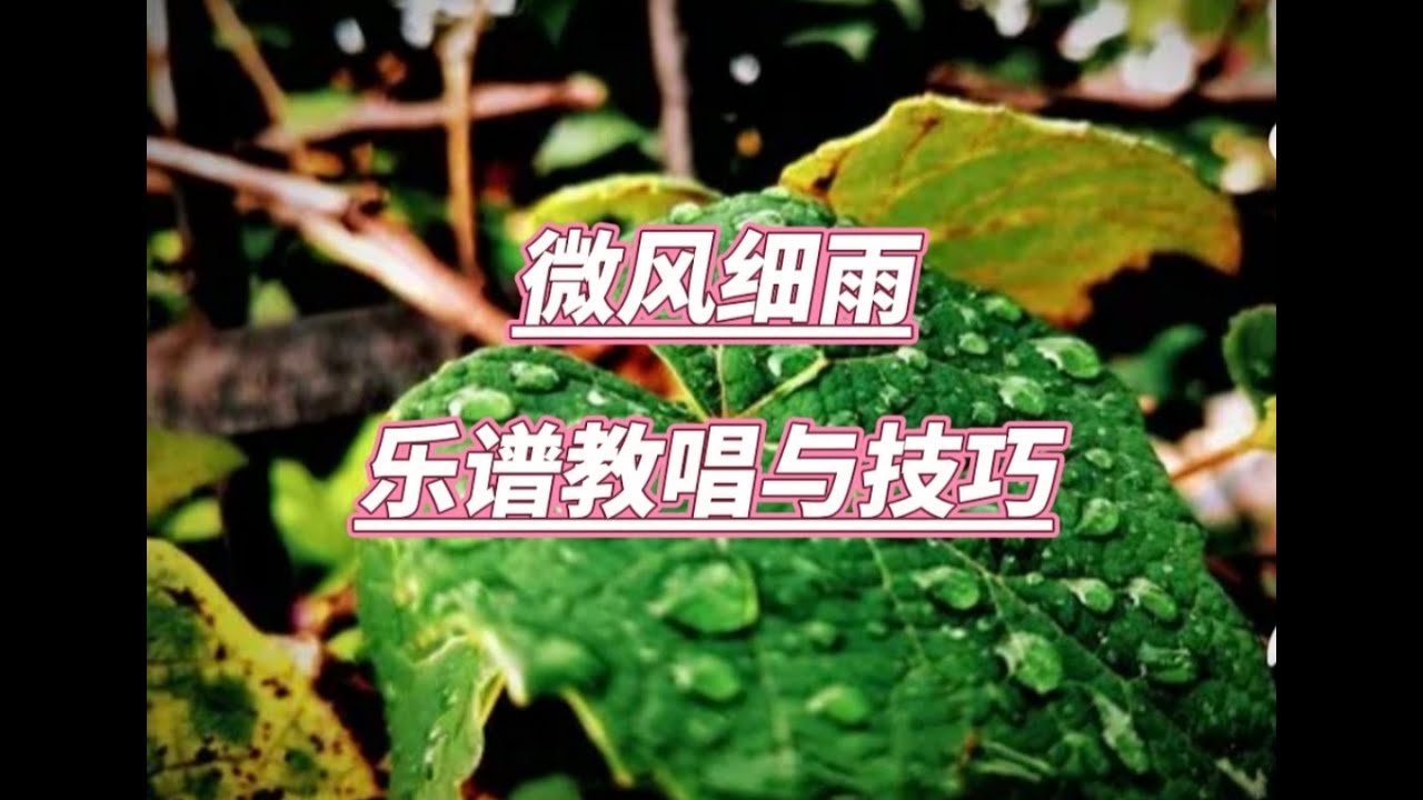 微风吹拂声音效免费下载：资源获取、应用技巧及潜在风险