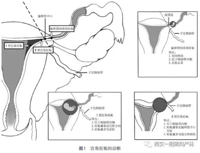 回忆如潮 第23页