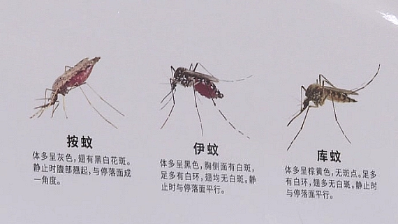 李芒扩八干免费资源下载的安全问题及其对电影传播的影响