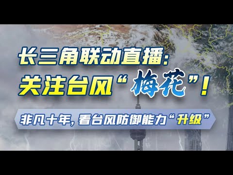 梅花视频下载免费下载：风险与挑战并存的免费视频获取途径