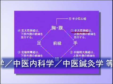 免费下载中医演讲稿：资源获取、内容分析及潜在风险