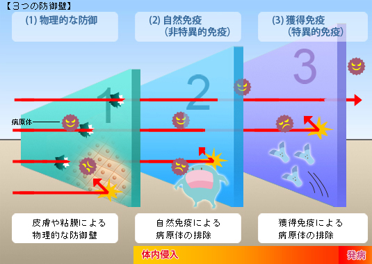 精东影业免费下载咖绿茵：探秘网络视频下载背后的风险与挑战