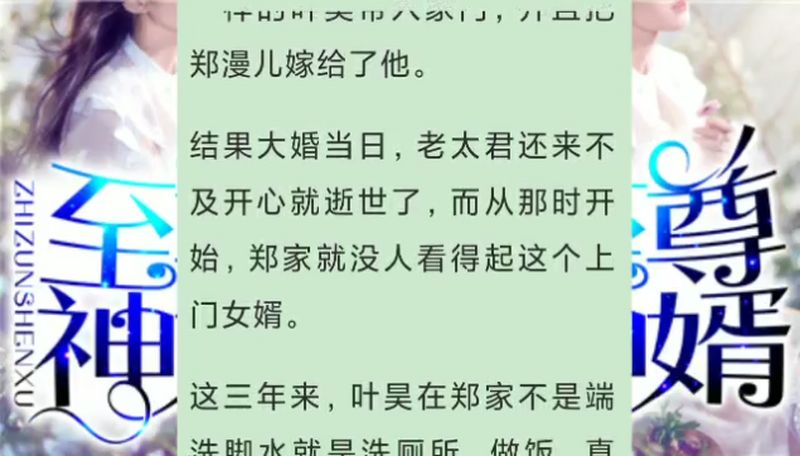 叶浩和郑漫小说免费下载：资源获取、风险提示及阅读体验全解析