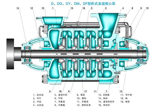 沙雕动画短片免费版下载：资源获取、风险防范及未来趋势深度解析