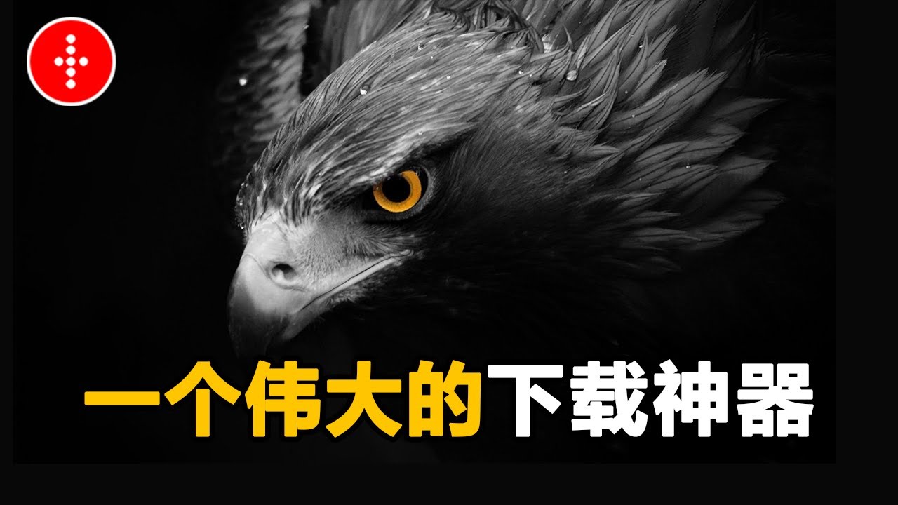 矜持免费下载：资源获取、风险防范与未来趋势深度解析