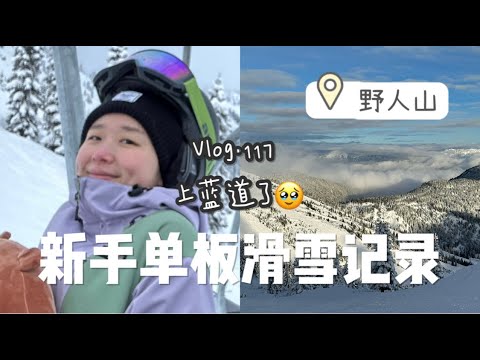 野人免费下载的安全问题和法律风险