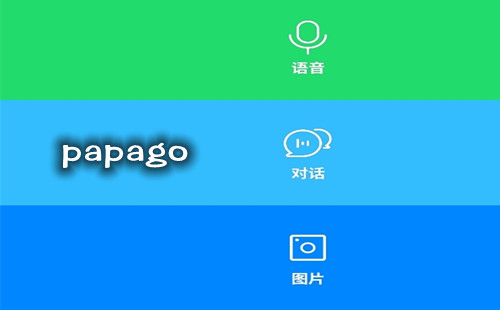 免费下载Papago翻译软件：全方位解读及使用指南