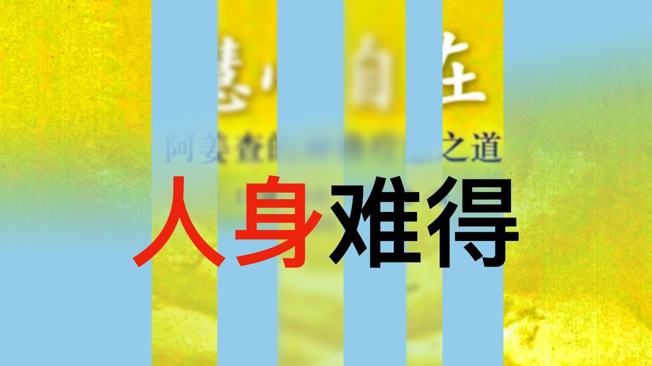 深度解析：难得一人心全文免费下载渠道及风险提示