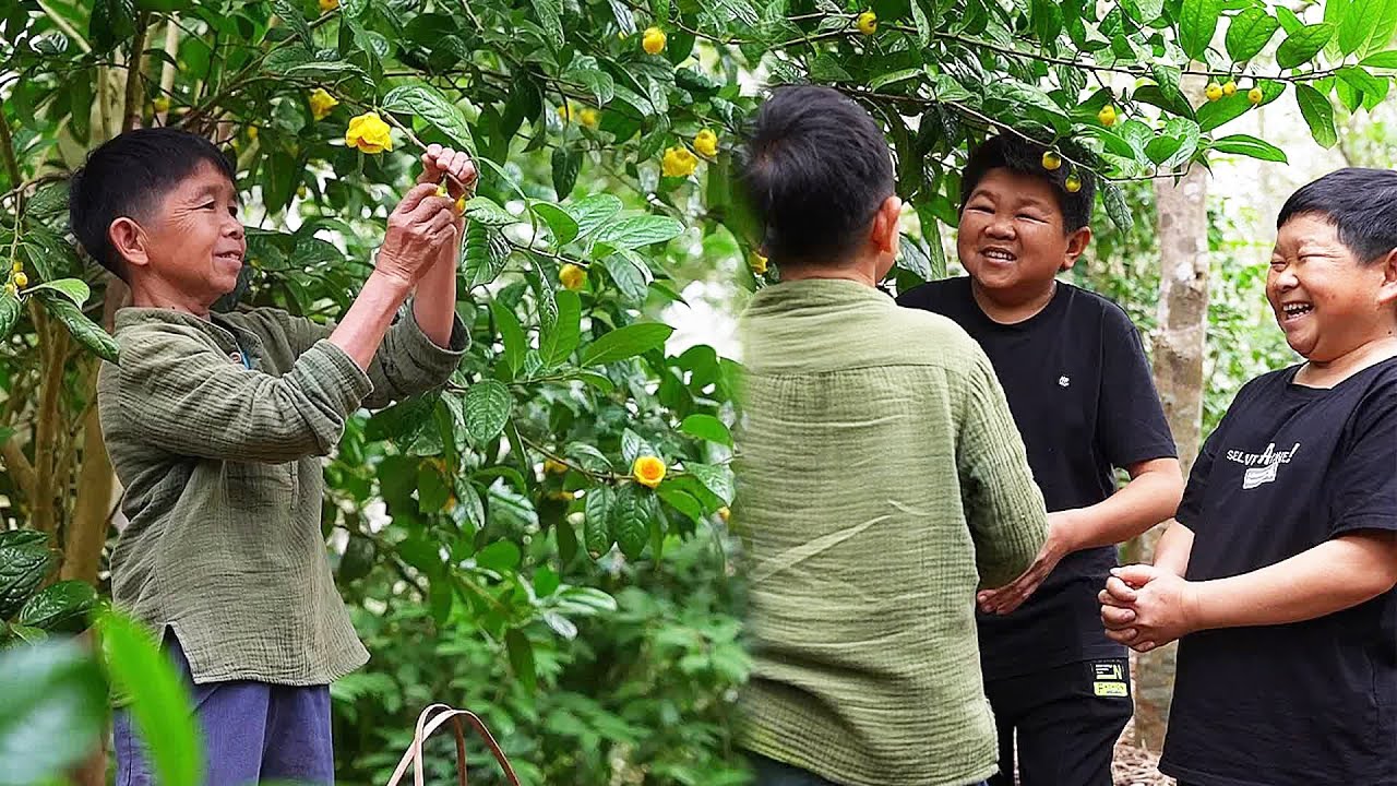 桃李春风一杯酒免费下载：资源获取途径及风险分析