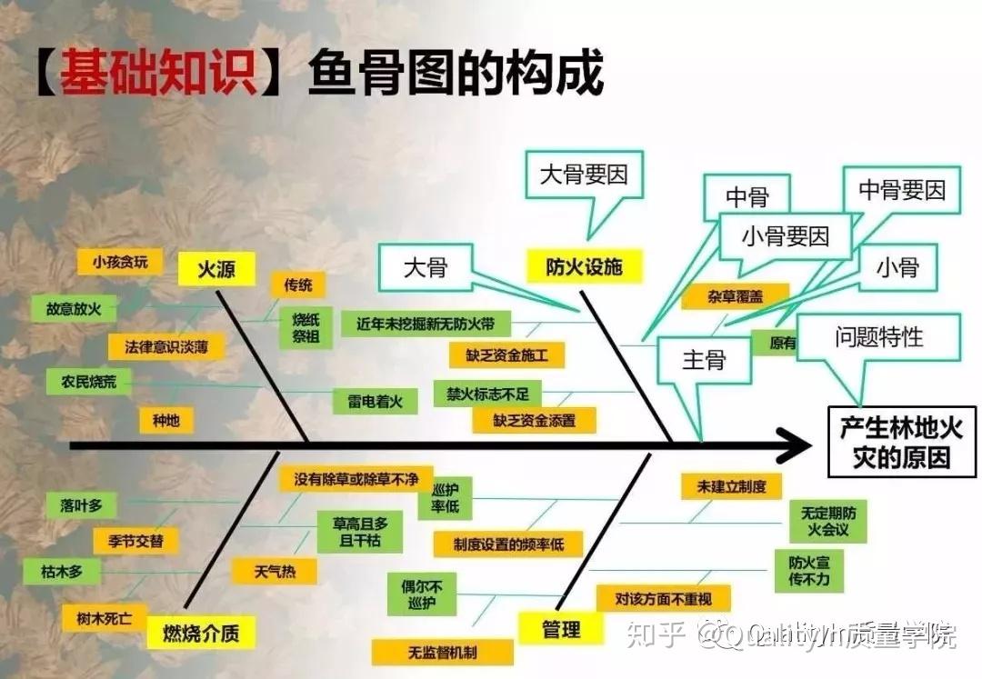 中国产品质量法免费下载：解读、应用与未来展望