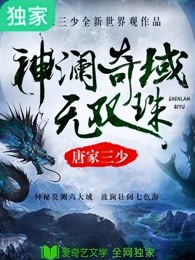 神澜奇域奇书2免费下载：资源获取途径、风险及阅读体验全解析