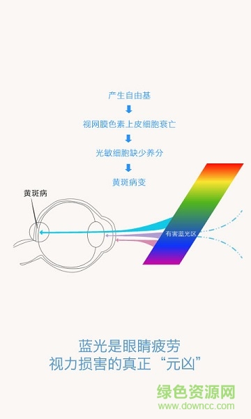 蛇関美人第二部免费下载：深入分析和下载途径探讨