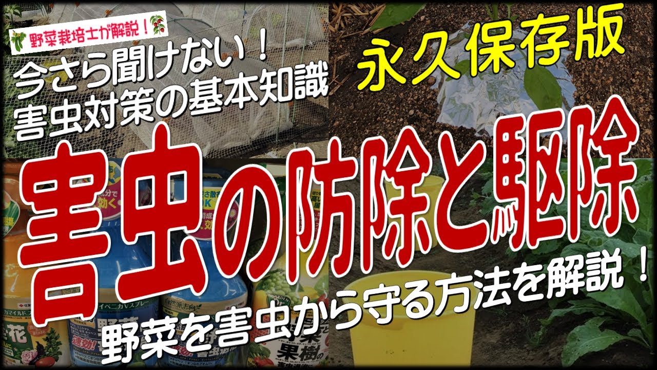 免费在家种花大全集下载：新手入门指南及进阶技巧