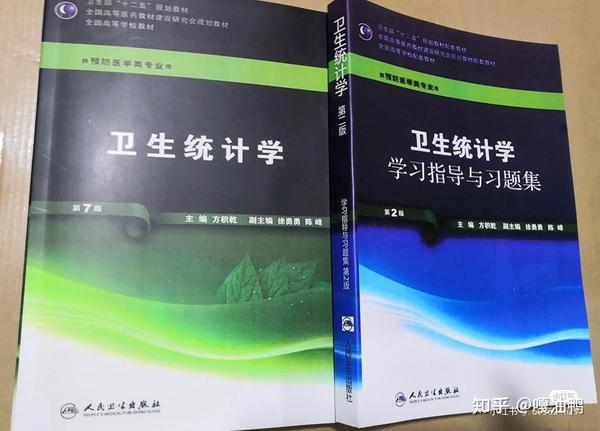 药剂学第五版免费下载资源及学习指南：风险与挑战并存的获取途径