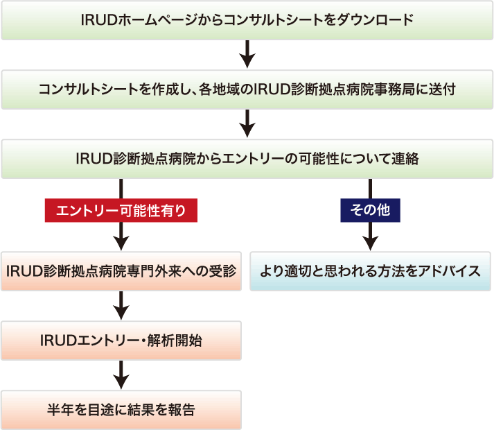 Iridescent免费下载资源全解析：风险、优势与未来趋势