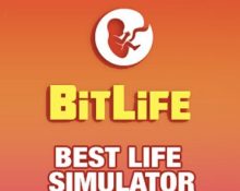 BitLife免费下载攻略：风险与挑战，以及如何安全畅玩人生模拟游戏