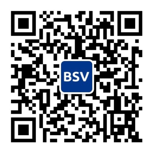 BSV币免费下载：深入解析获取途径、风险及未来趋势