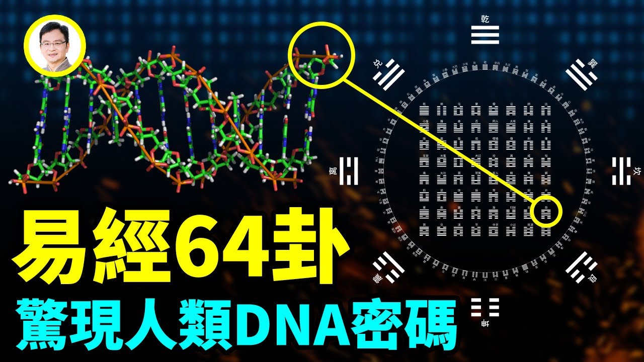 混沌钟免费下载资源详解：风险、挑战与未来趋势