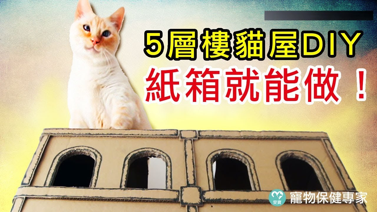 猫鱼潔像下载免费：全面分析免费资源的优劣与风险